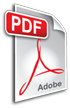 PDF File